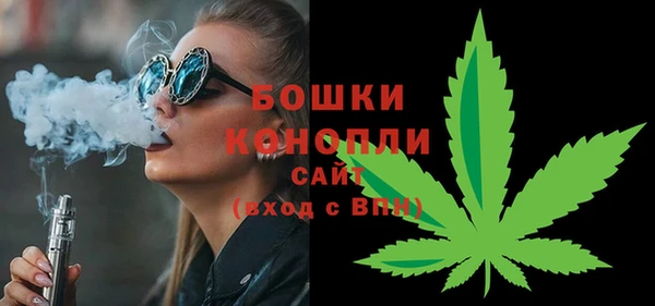 мдпв Карпинск