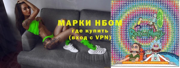 мдпв Карпинск